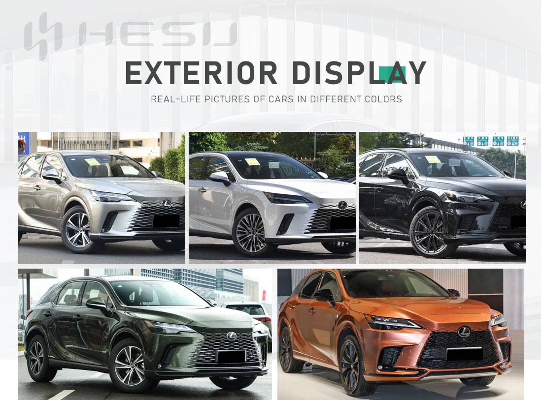 LEXUS RX-HESUCAR