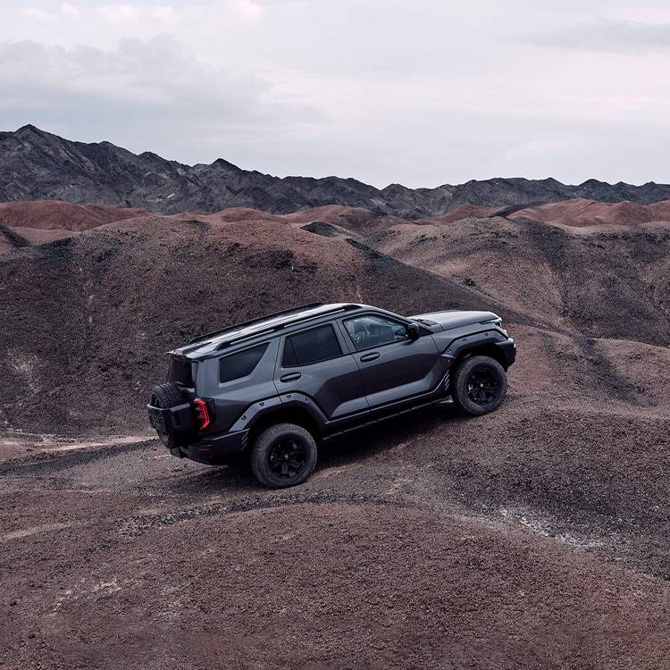 Tank 400 - New Energy Electric Vehicle Sedan/SUV/Van Left Steering ...