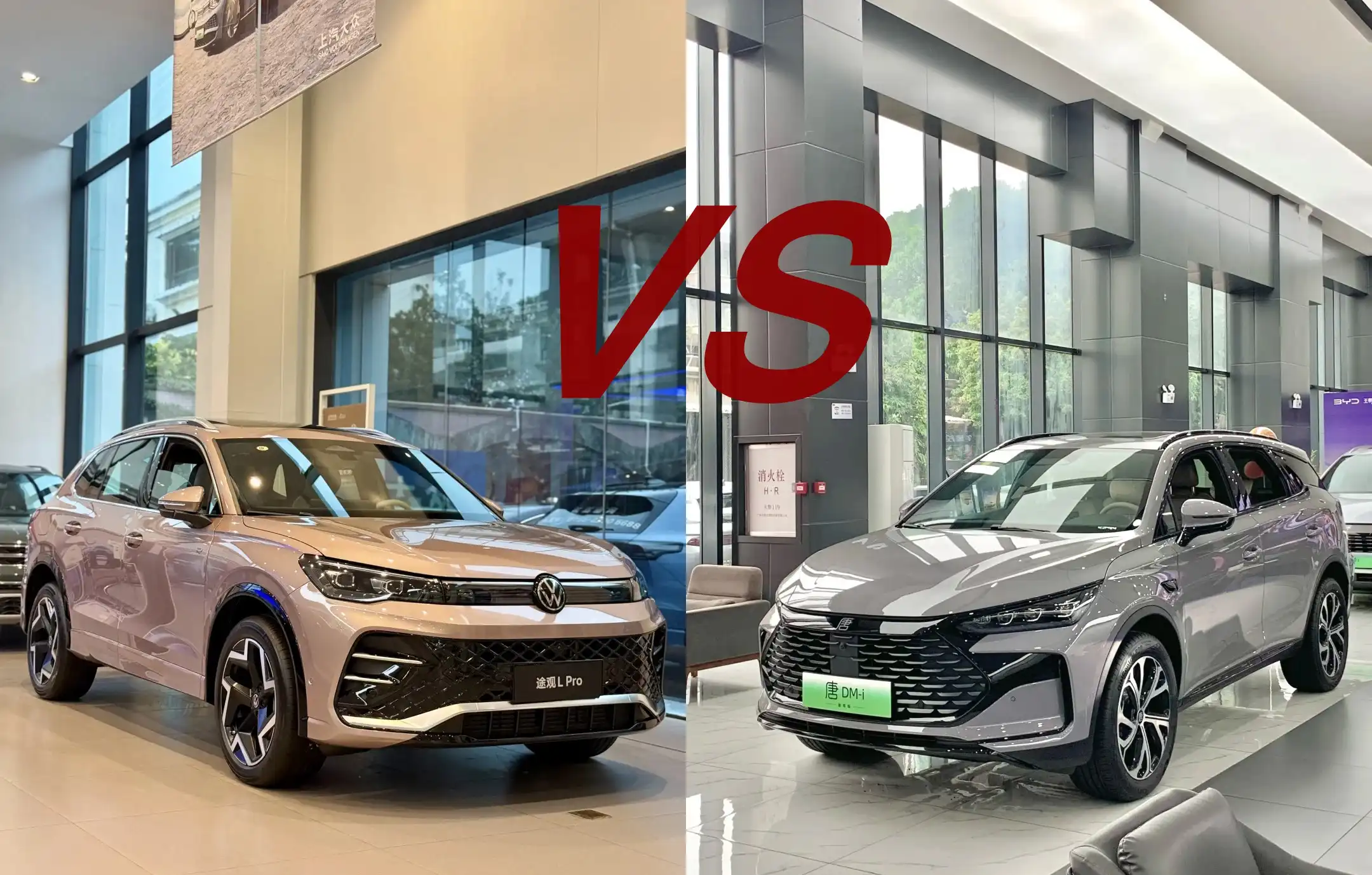 Tiguan L Pro vs Tang DM-i Intelligent Driving Edition-hesucar